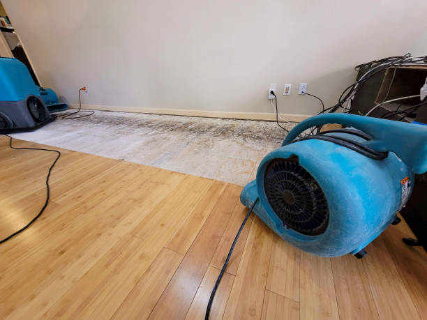 Professional Water Damage Repair technician working in Berlin Center, OH